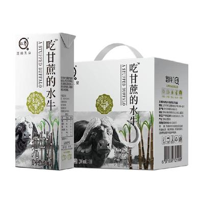 认养吃甘蔗的水牛奶