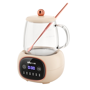 小熊全玻璃养生壶小型办公室mini养生杯女士一人迷你恒温电炖杯