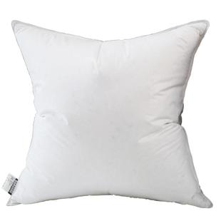 汉尚家居 清洁羽绒羽毛鹅毛靠垫芯抱枕芯内胆枕芯 羽协会信誉保证