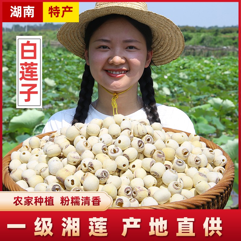 精选去芯白莲 湖南湘莲白莲子 新货农家非手工白莲磨皮粉糯煲汤