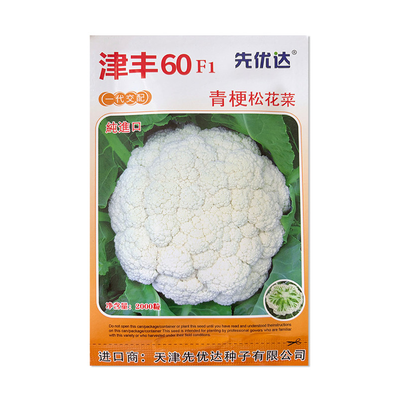 先优达津丰60青梗松花菜种子