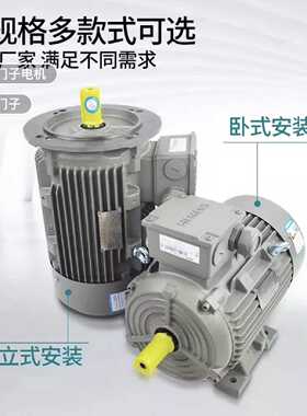 议价西门子电机1LE0004/3/4-3AB03-3AA4 B/C/H/K4-Z110KW4P级极B3