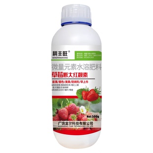 草莓专用膨大素拉长素草莓膨大剂亮果不裂果催花草莓座果素保效灵
