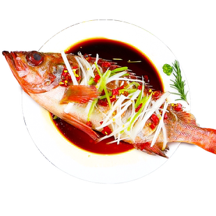 红石斑鱼鲜活冷冻超大红鱼龙胆富贵鱼深海鲈鱼多宝鱼新鲜海鲜水产