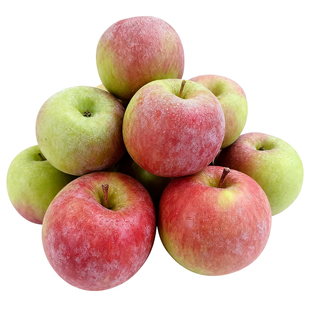 正宗国光苹果山东五莲老树纯绿色新鲜水果青酸甜脆苹果老品种5斤