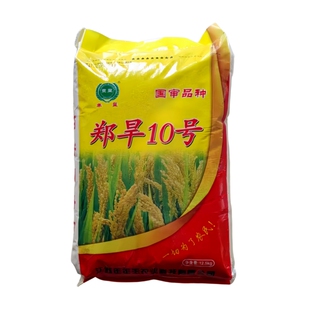 郑旱10号旱稻种子高产抗病抗旱抗倒可留种圆粒珍珠米直播水稻种籽