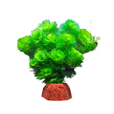 火山石水草鱼缸水培植物造景装饰