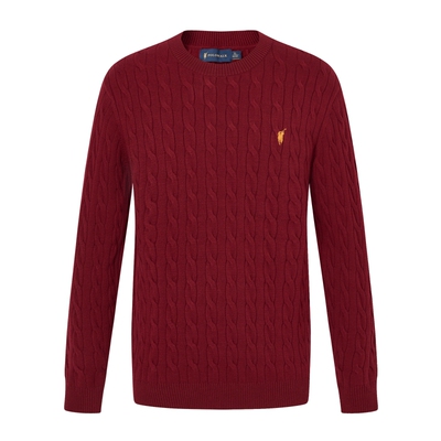 POLOWALK男式针织衫2025秋冬新品时尚百搭通勤绞花圆领套头针织衫