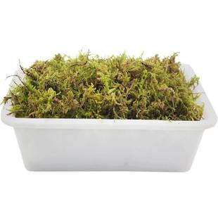 爬宠垫材苔藓保湿乌龟冬眠专用过冬用品椰砖椰土干草龟巴西龟沙盒