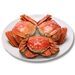 【礼券】阳澄湖大闸蟹提货卡公4两母3两8只螃蟹券中秋礼品券礼盒