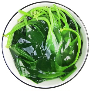 海带嫩苗海带干货凉拌菜食材纯天然健康海带苗盐渍海带新鲜嫩芽