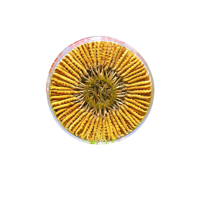 【藏族自营店】西藏那曲头期野生冬虫夏草送长辈送领导首选