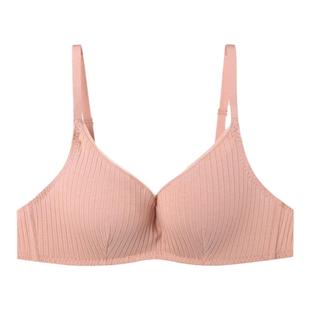 【舒挺杯】安莉芳官方奥莱内衣E-BRA棉感中厚小胸聚拢无钢圈文胸
