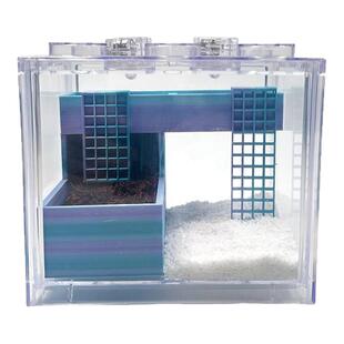 豆丁寄居蟹新手饲养套餐LOFT跃层公寓积木盒宿舍办公桌面萌宠礼物