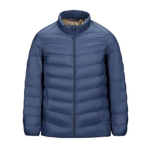 雪中飞2024冬新款男士立领轻薄短款羽绒服轻便内搭经典舒适商务