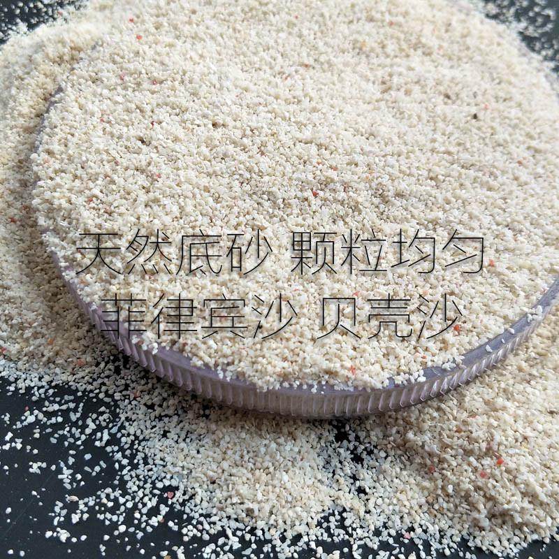 天然鱼缸底砂贝壳砂三湖砂海沙菲律宾沙鱼缸造景装饰慈鲷寄居蟹沙