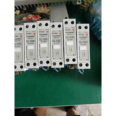 CARLO GAVAZZI 佳乐 RJ1A60D30E ，R