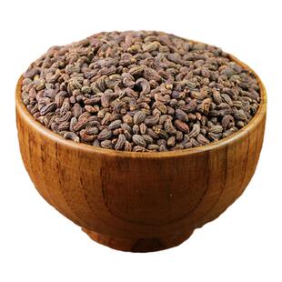 同仁堂女贞子中药材女贞子茶菟丝子肉苁蓉女贞子旱莲草泡水泡酒料