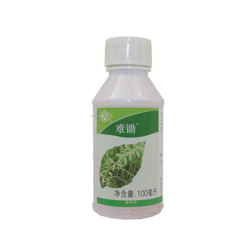 国光难锄 三氯吡氧乙酸丁氧基乙酯 除阔叶杂草杂灌 草坪除草剂