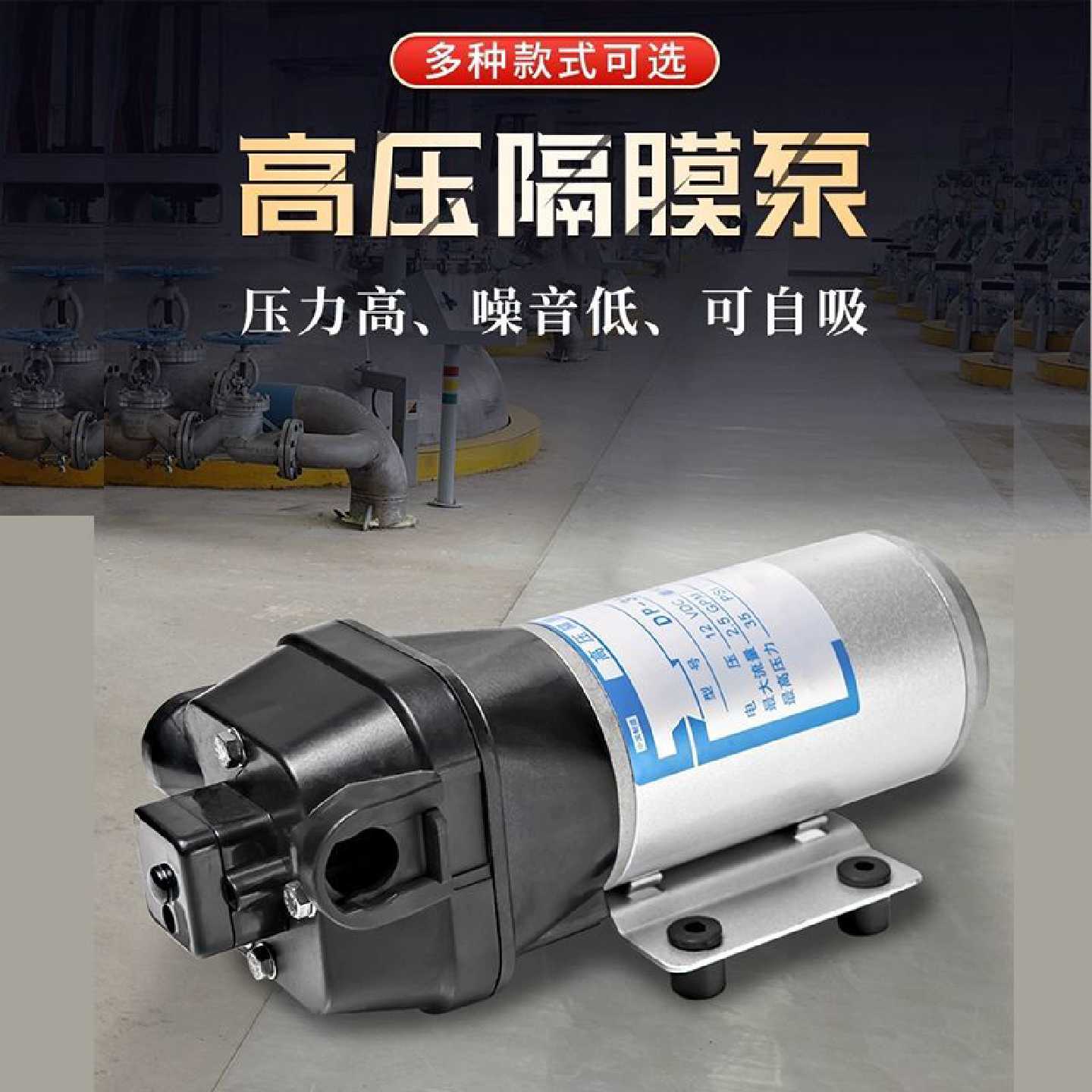 微型高压隔膜泵自吸水泵35DP60直流泵12V24喷雾增压泵洗车泵农用