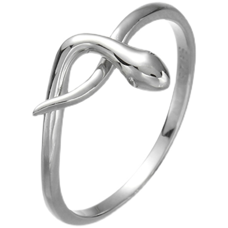 南风歌原创设计《长生》S925纯银戒指男女情侣对戒无性别小众银饰