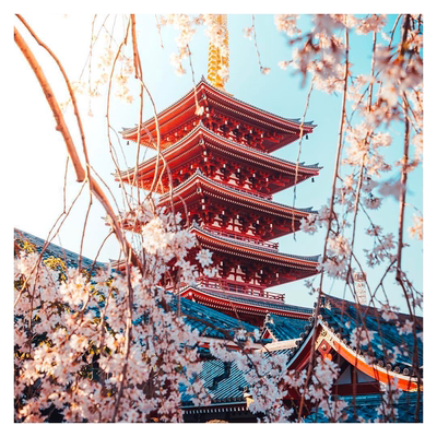 日本单次北京高出签拒签退