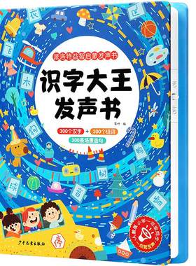 一年级点读发声识字书幼儿认字