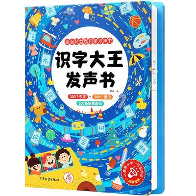 一年级点读发声识字书幼儿认字
