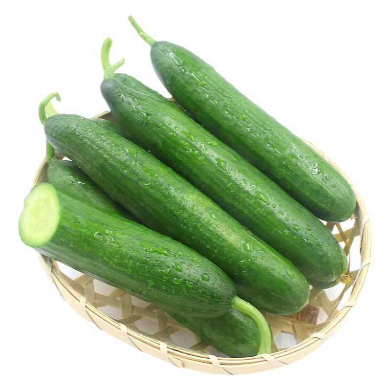 正宗荷兰水果翡翠小黄瓜3-5斤