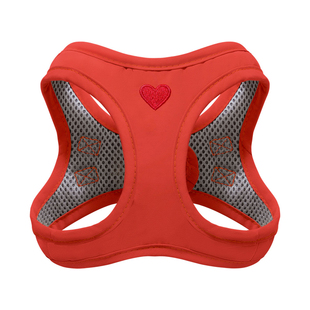 韩国PuppyGallery心动系列狗狗防水胸背宠物牵引绳项圈小大中型犬