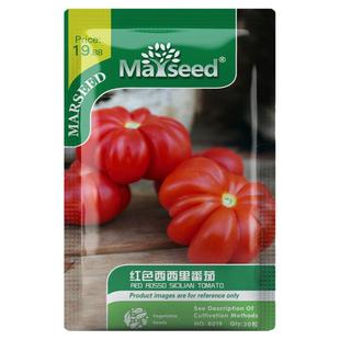 【掌柜推荐】意大利农家传家宝红西西里大小马蹄番茄西红柿种子