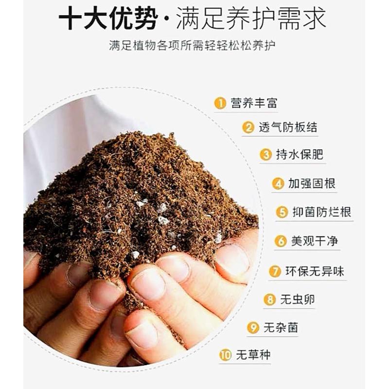 园艺营养土泥炭土大包种花种菜土壤多肉月季土兰花球根通用型介质