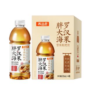 胖大海罗汉果雪梨枇杷饮金银花菊花炎咽茶清化水痰止润喉咳养生茶