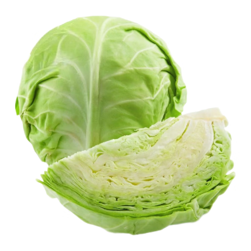 包菜秧苗带土耐寒老品种本地包菜苗牛心莲花白包心菜苗卷心菜种子