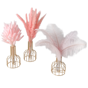 粉色芦苇草干花花束直播间装饰摆件仿真花天然风干客厅高级感摆设