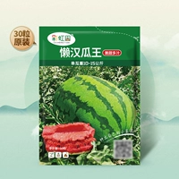 30 ленивый король дыни в радужном поле