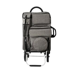 购物车买菜小拉车折叠手推车老人买菜拉杆车家用取快递拖车静音