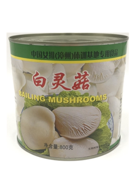 白灵菇整菇真花白灵菇800g罐头
