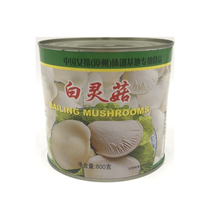 真花白灵菇800g 白灵菇罐头 蔬菜罐头 两个整菇 凉菜家庭酒店酒席