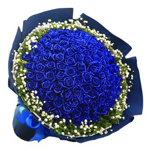 99朵蓝色妖姬玫瑰花束生日鲜花速递同城北京广州深圳武汉南京送花