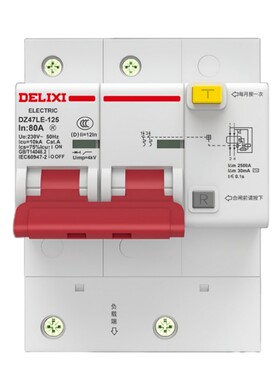 德力西DZ47LE小体积漏电开关100A
