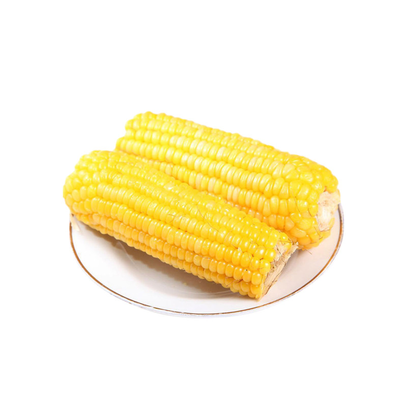 莫力达瓦黄糯玉米260g大棒