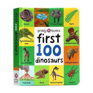 启蒙认知100词系列 恐龙 英文原版绘本 First 100 Dinosaurs 图解字词典 宝宝启蒙单词 亲子阅读纸板书 启蒙读物 priddy books