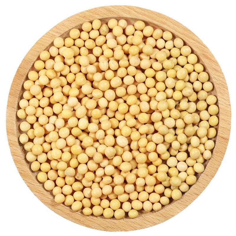东北黄豆打豆浆专用豆子非转基因