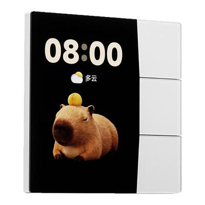 领普S5Pro彩屏智能开关遥控