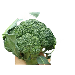 西兰花种子有机花菜盆栽种孑阳台庭院种植四季蔬菜秧苗秋冬季菜籽