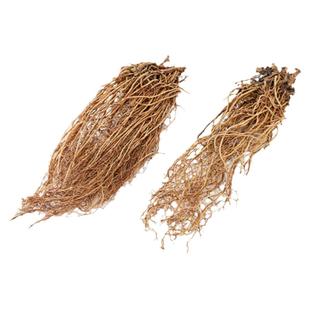 北细辛中药材正品辽细辛无硫道地辽宁细辛根去泥沙包邮禹合堂