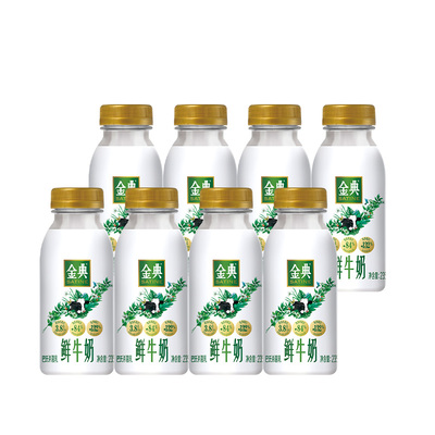 伊利金典巴氏杀菌鲜牛奶235ml*8瓶低温营养早餐奶