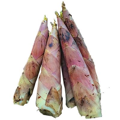 顺丰包邮脆嫩爽口去老根雷竹大笋