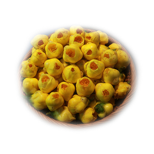 【厂家直营】金花茶鱼嘴花金花茶金鱼嘴花花苞十万大山金花茶冻干